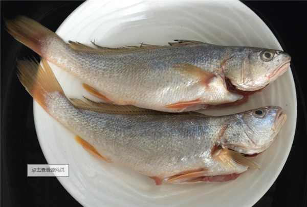 鱸魚是海魚嗎