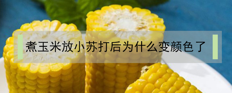 煮玉米放小蘇打后為什么變顏色了