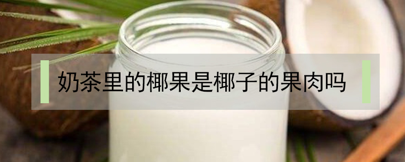 奶茶里的椰果是椰子的果肉嗎