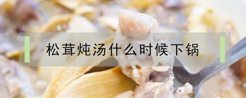 松茸燉湯什么時候下鍋