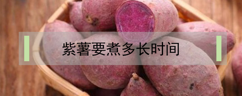 紫薯要煮多長時間