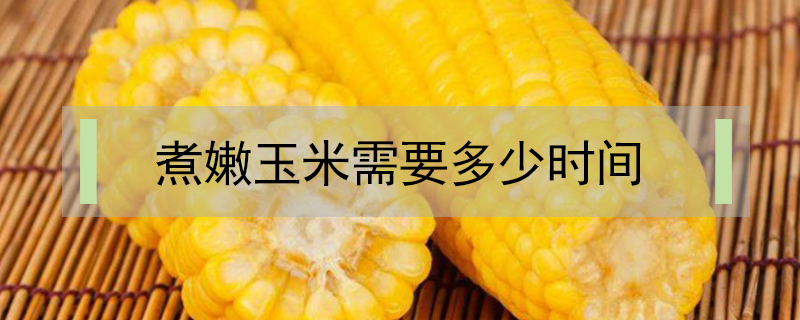 煮嫩玉米需要多少時間