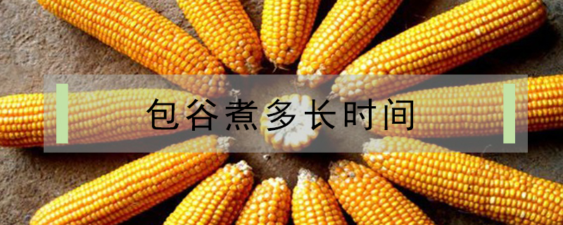 包谷煮多長時間