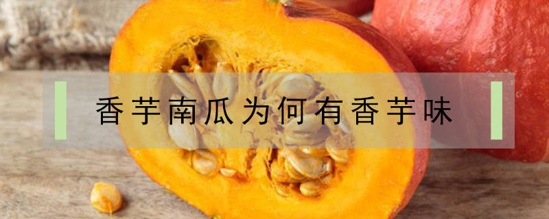 香芋南瓜為何有香芋味
