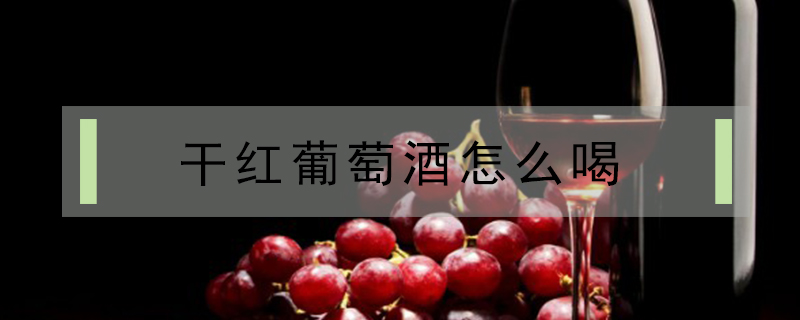 干紅葡萄酒怎么喝