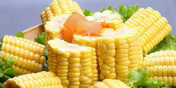 水果玉米冷水下鍋煮多久