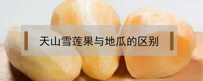 天山雪蓮果與地瓜的區(qū)別