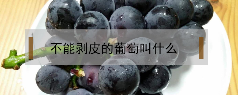 不能剝皮的葡萄叫什么