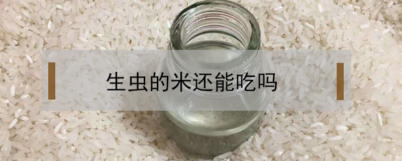生蟲的米還能吃嗎