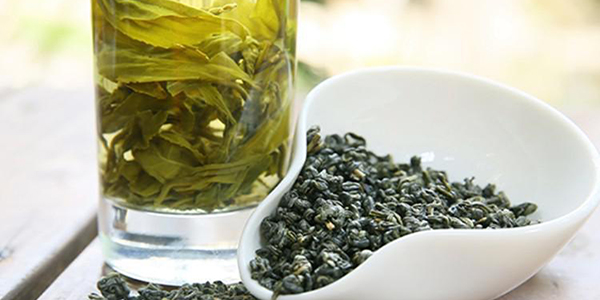 碧螺春屬于綠茶嗎