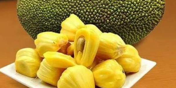菠蘿蜜不熟切開會壞嗎