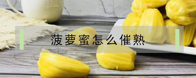 菠蘿蜜怎么催熟