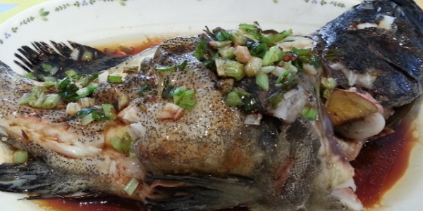 龍躉喜歡吃什么餌