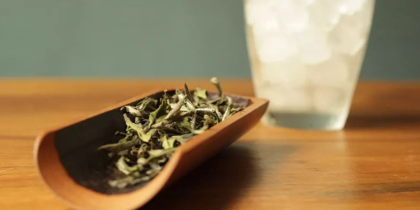 白茶屬于什么茶類