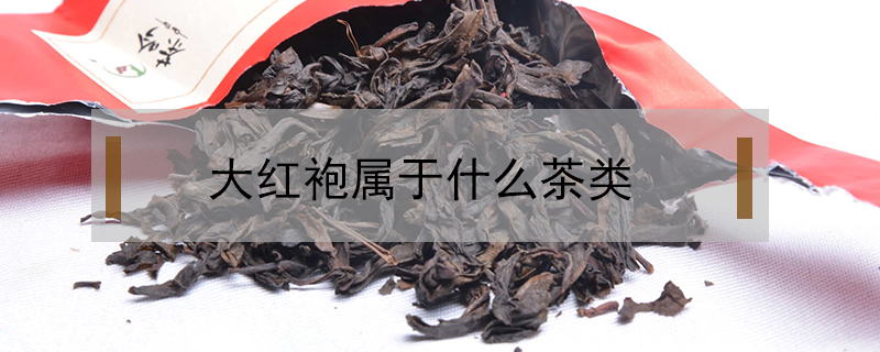 大紅袍屬于什么茶類