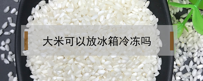 大米可以放冰箱冷凍嗎