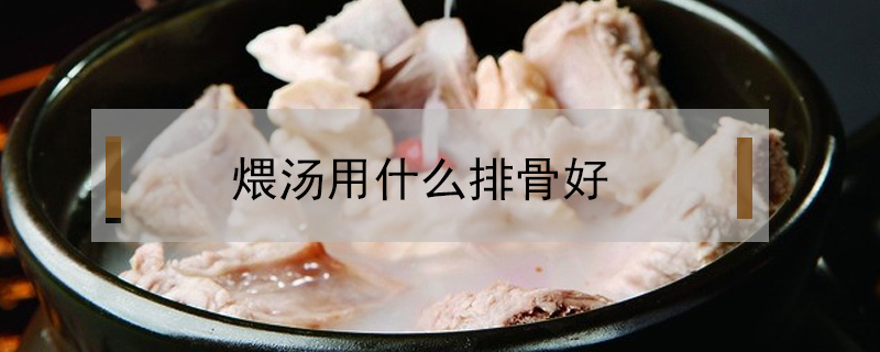 煨湯用什么排骨好