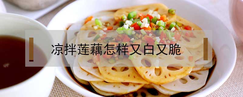 涼拌蓮藕怎樣又白又脆
