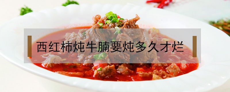 西紅柿燉牛腩要燉多久才爛