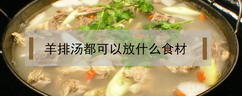 羊排湯都可以放什么食材