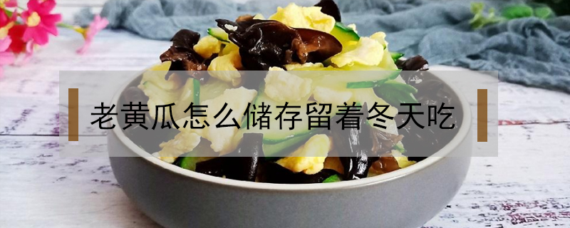 老黃瓜怎么儲存留著冬天吃