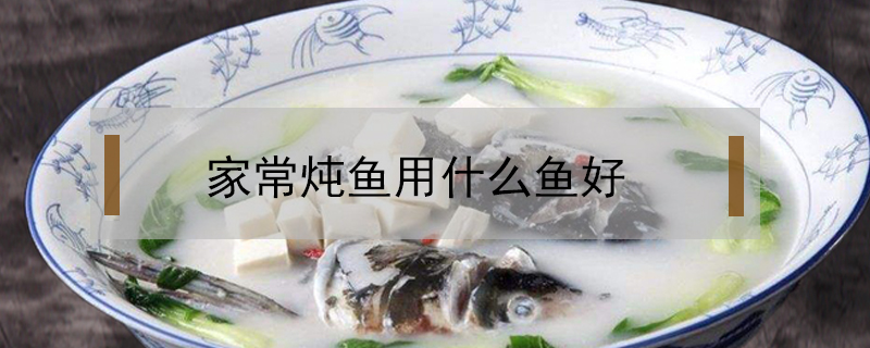 家常燉魚用什么魚好