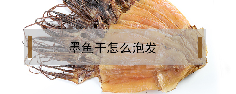 墨魚干怎么泡發(fā)