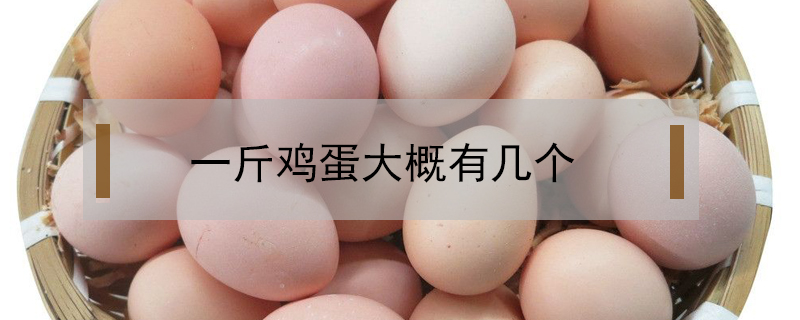 一斤雞蛋大概有幾個