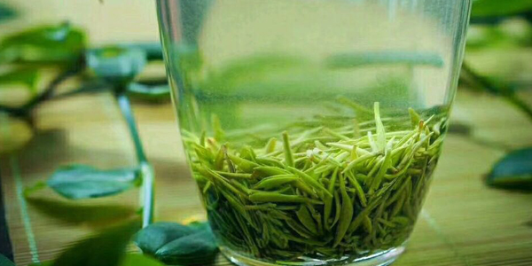 信陽(yáng)毛尖是不是綠茶