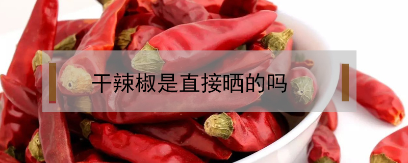 干辣椒是直接曬的嗎