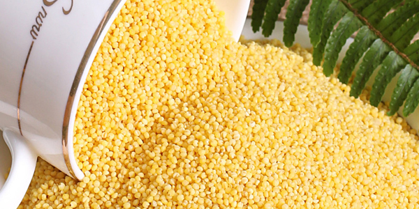 小米可以煮飯嗎