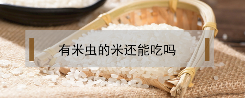 有米蟲的米還能吃嗎
