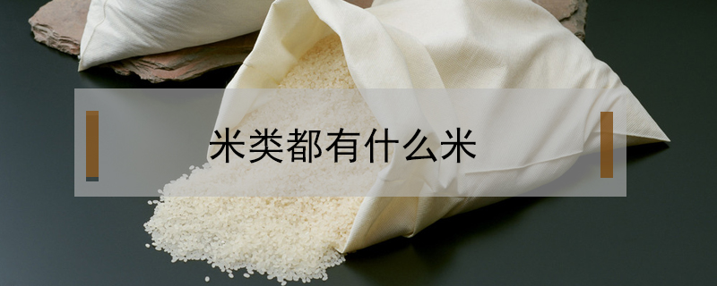 米類都有什么米