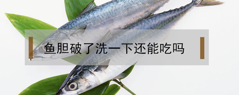 魚膽破了洗一下還能吃嗎
