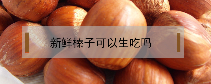 新鮮榛子可以生吃嗎