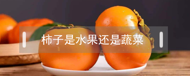 柿子是水果還是蔬菜