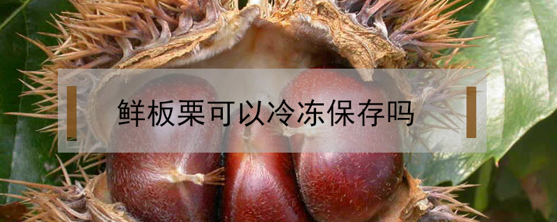 鮮板栗可以冷凍保存嗎