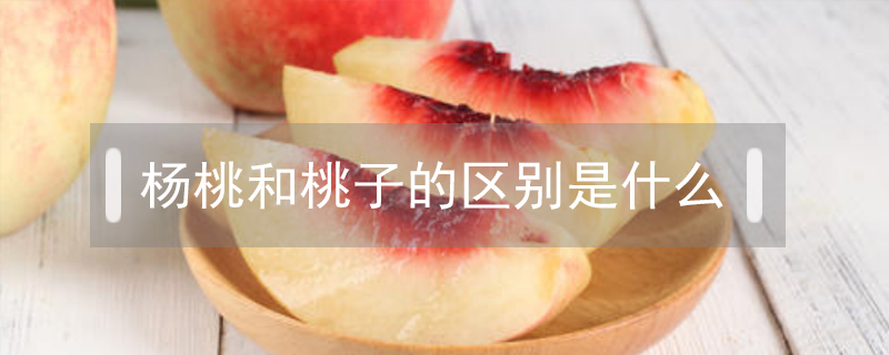 楊桃和桃子的區(qū)別是什么