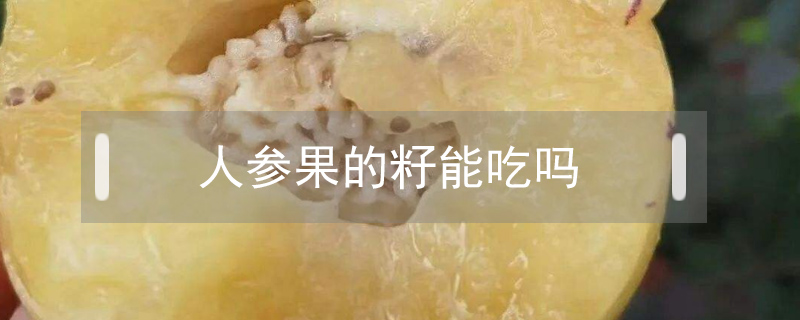 人參果的籽能吃嗎