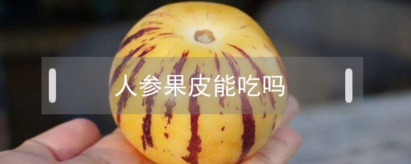 人參果皮能吃嗎
