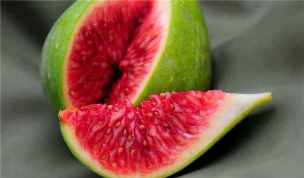 吃無花果的禁忌