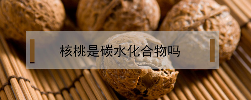 核桃是碳水化合物嗎