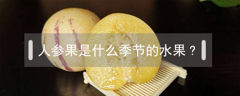 人參果是什么季節(jié)的水果?