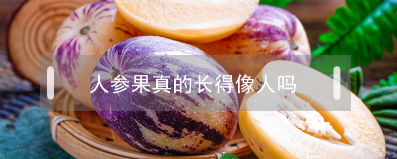 人參果真的長得像人嗎