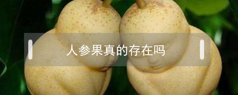 人參果真的存在嗎