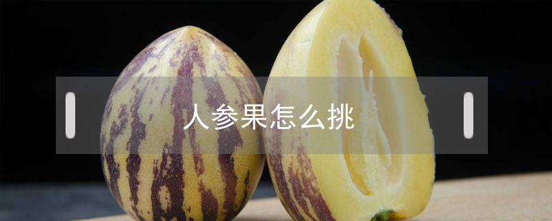 人參果怎么挑