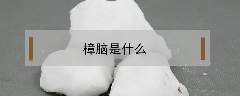 樟腦是什么