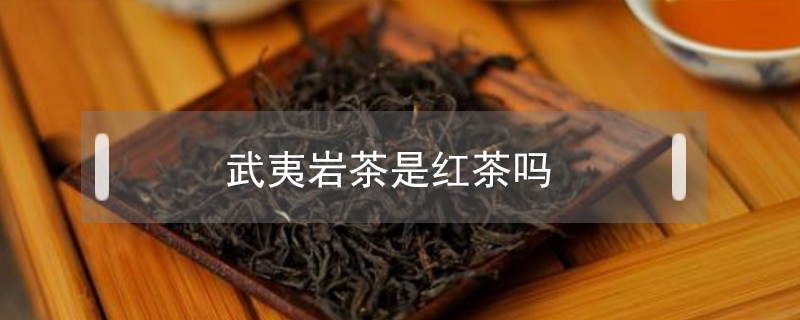 武夷巖茶是紅茶嗎