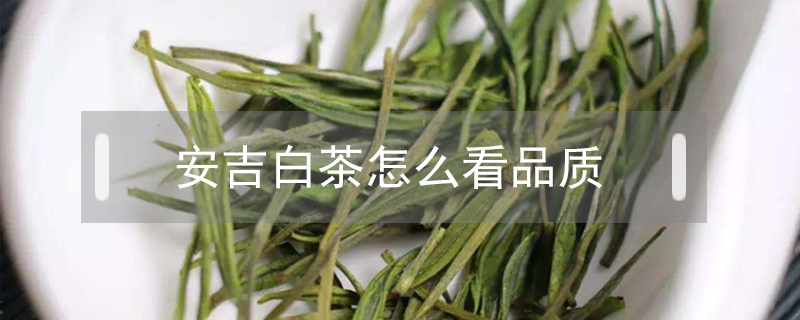 安吉白茶怎么看品質(zhì)