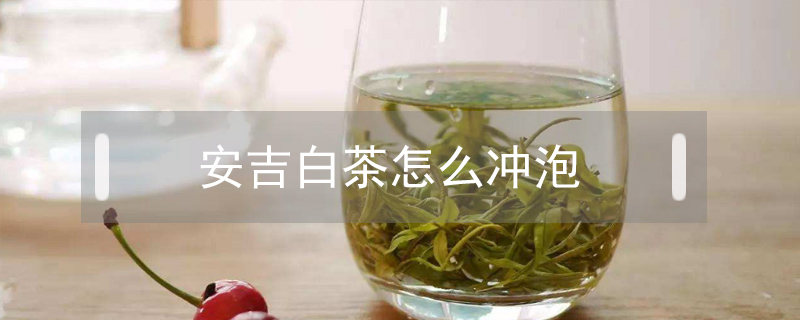 安吉白茶怎么沖泡